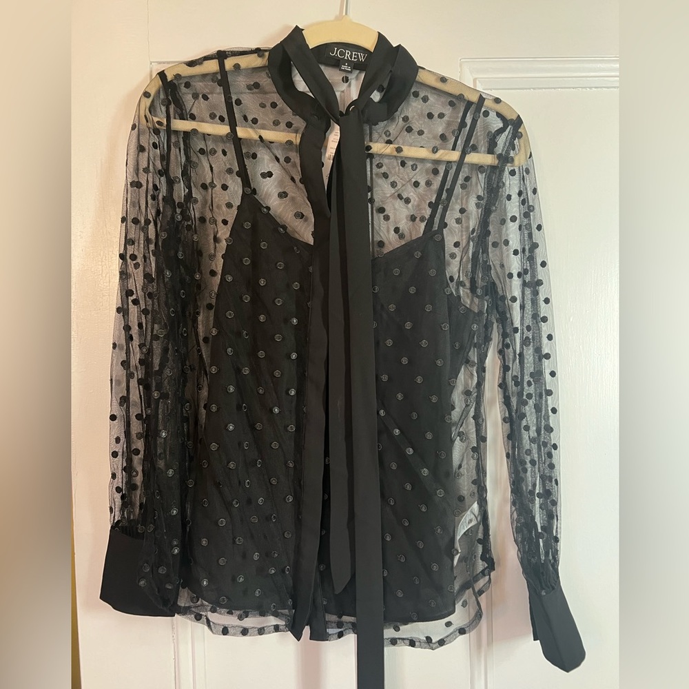 NWT J. Crew sheer polka dot blouse